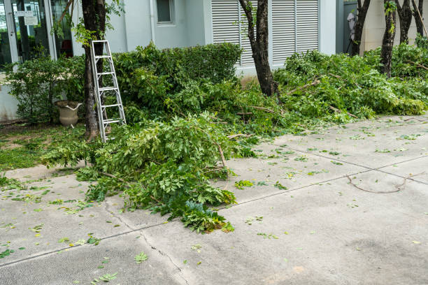 Best Commercial Tree Services  in Fort Wayne, IN